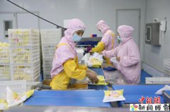 (走进中国乡村)陕西潼关肉夹馍产业加速出海